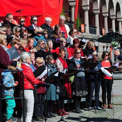 Sosisliatisk kor 2014 (Foto: Johanna Engen)